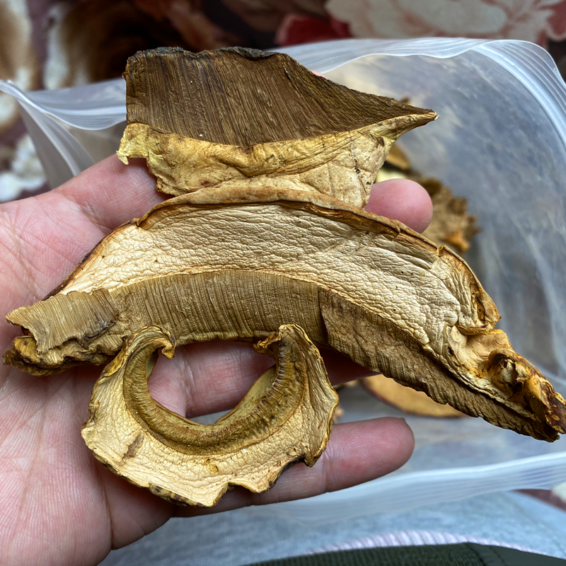肉苁蓉癌症患者可以吃吗  第3张