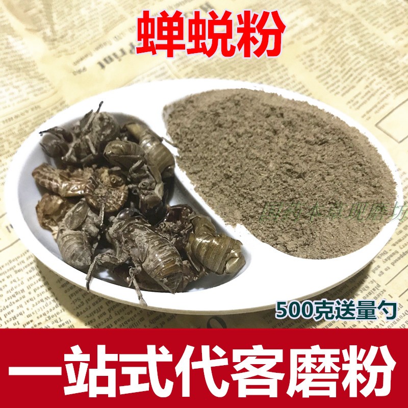 洗头用新鲜侧柏叶还是干侧柏叶好  第2张