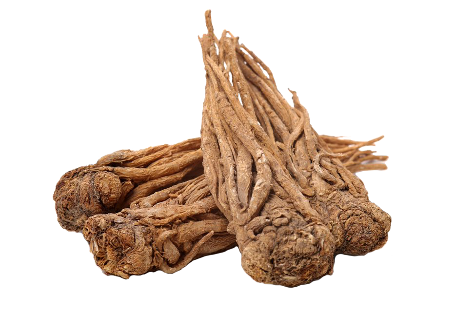 野生葛根的粉丰胸