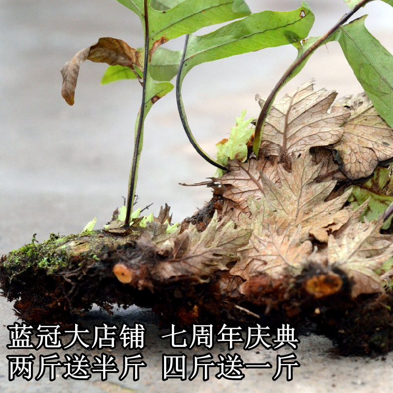姜半夏好还是法半夏好