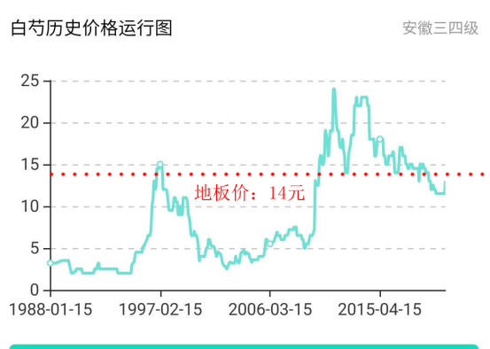 睡前可以喝番泻叶吗