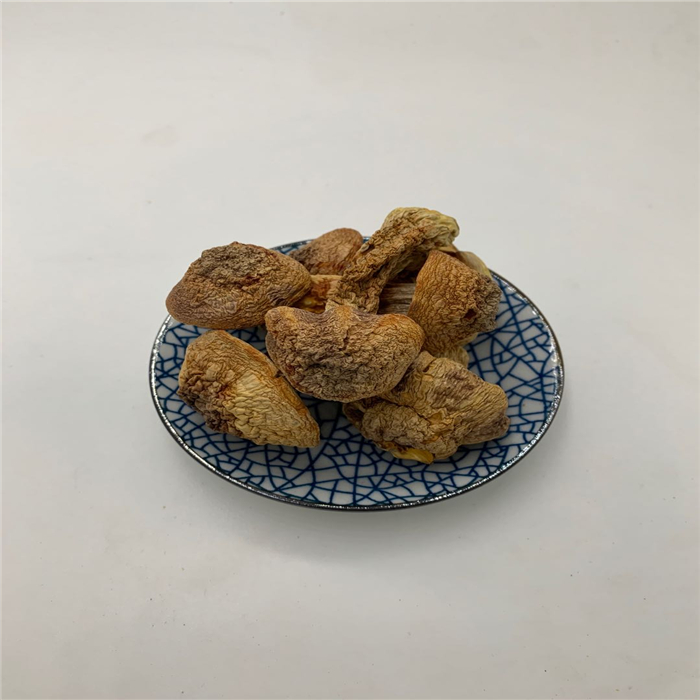 木耳段木栽培技术