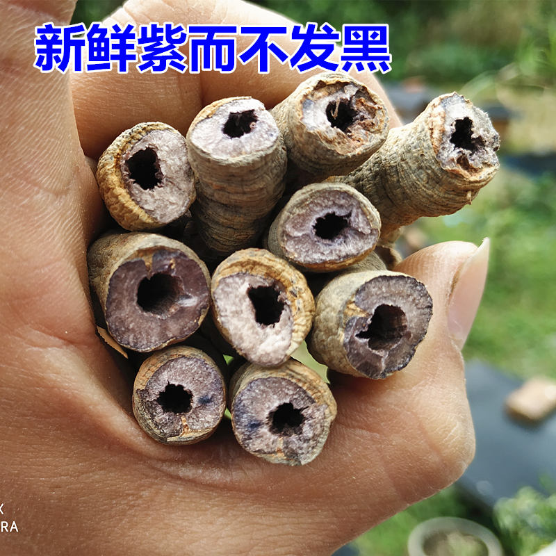 破壁灵芝孢子粉胶囊的食用方法