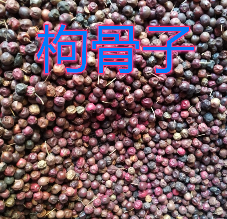 白醋泡大蒜能除灰指甲