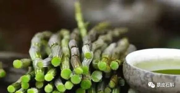 喝猫爪草有什么好处