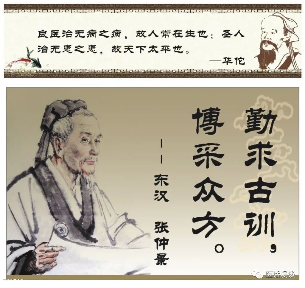 猕猴桃树苗批发商