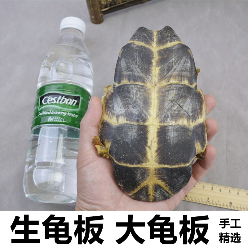 瓶装洛神花茶叫什么