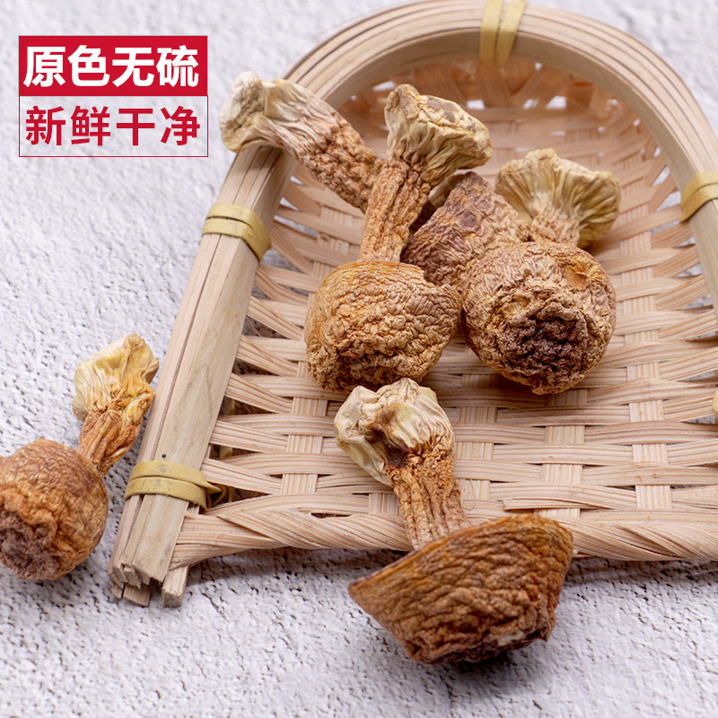 三七粉功能与作用