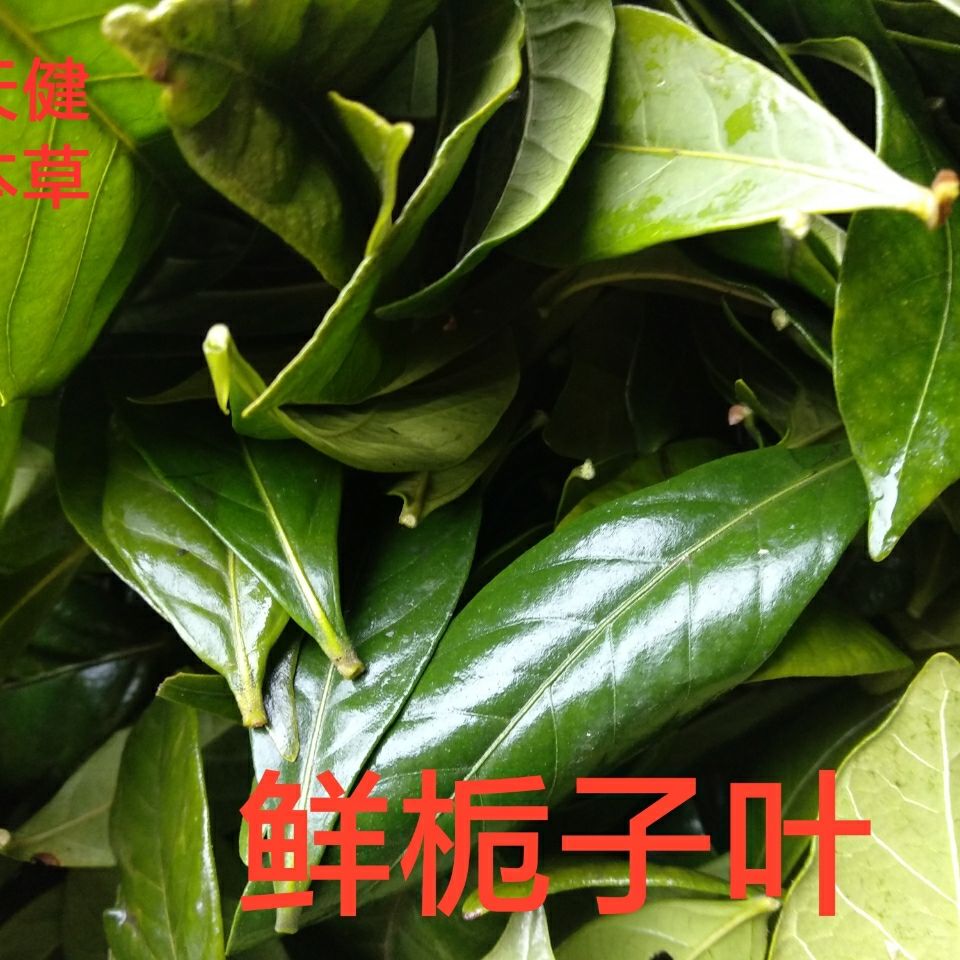 黑芝麻怎么吃较好