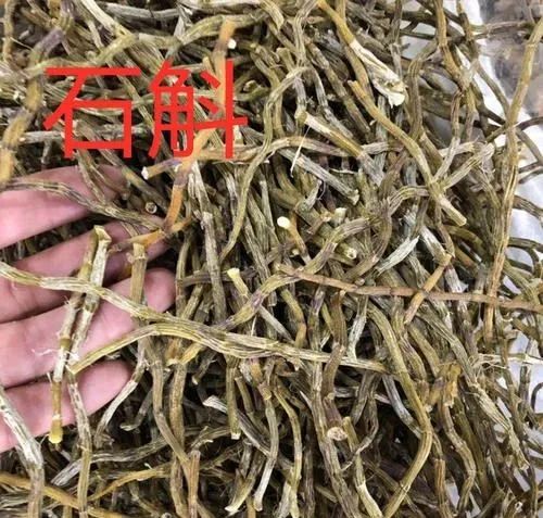 灵芝孢子粉服用几个月