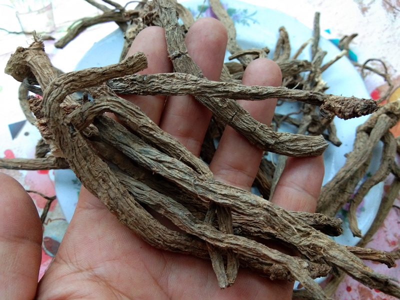 经期可以吃石斛粉吗