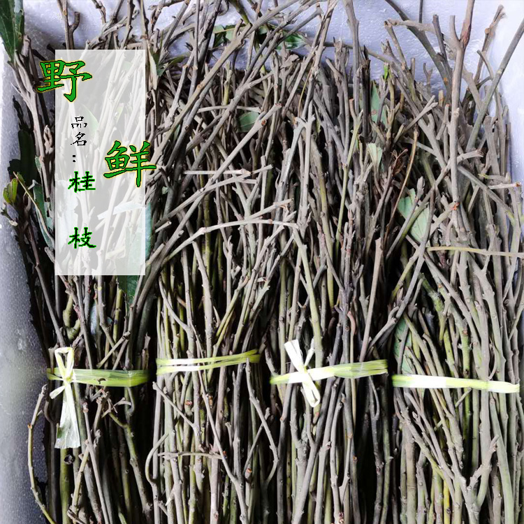 金丝楠乌木葫芦