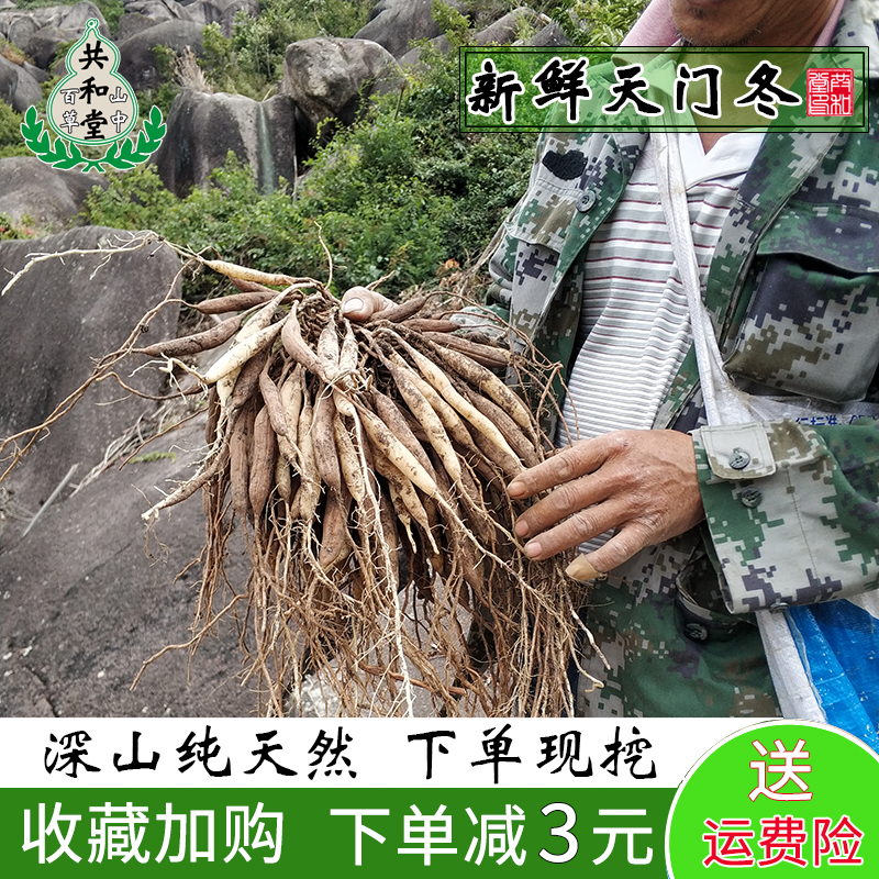 决明子减肥胶囊