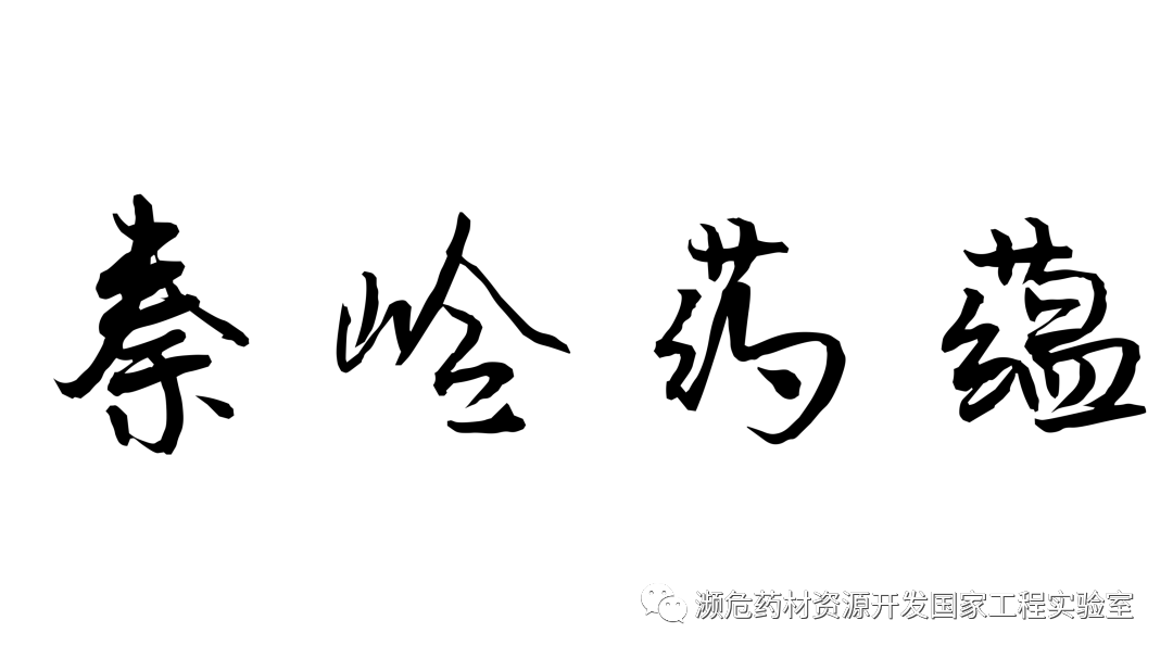 合成冰片和天然冰片