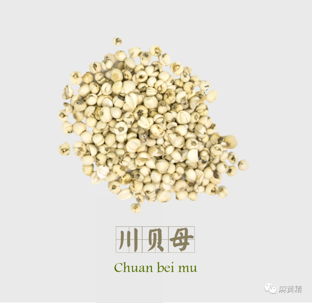 鲜无花果治扁平疣