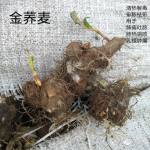 黑豆首乌生发汤