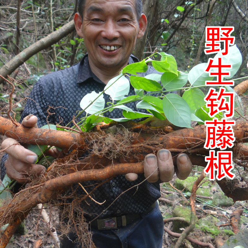 中药排毒祛斑面膜粉