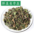 怎么培育重楼种子