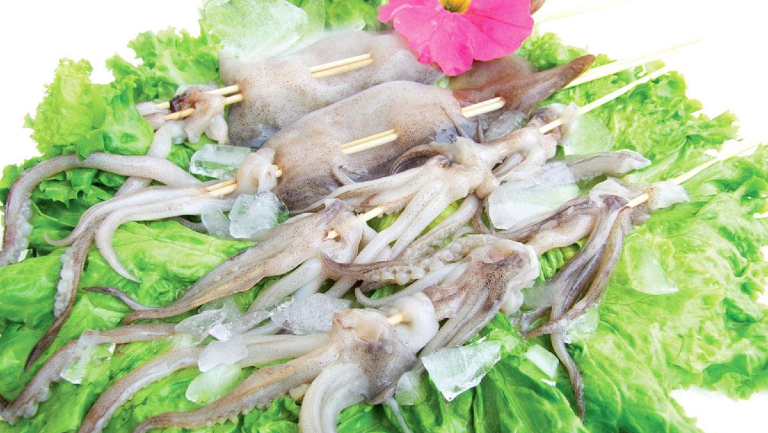 肺结核能不能吃鱿鱼