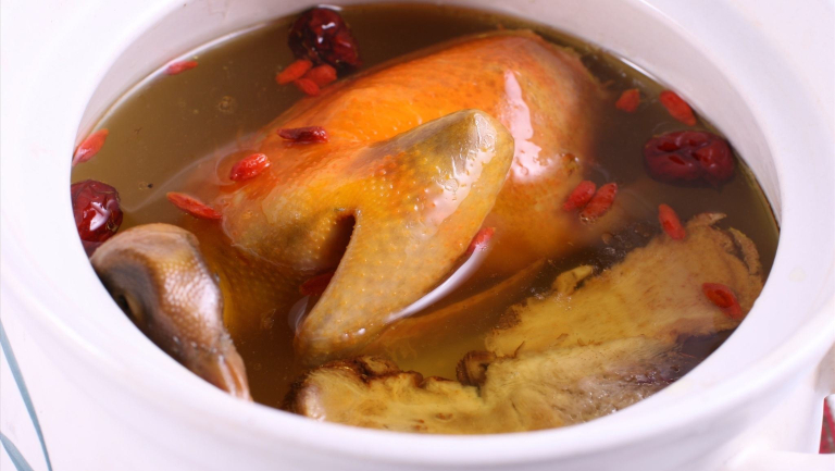 肺结核能不能喝鸽子汤