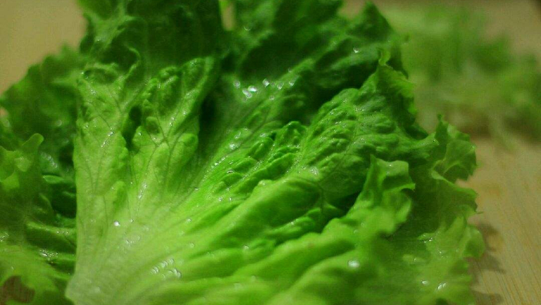 肺结核能不能吃生菜