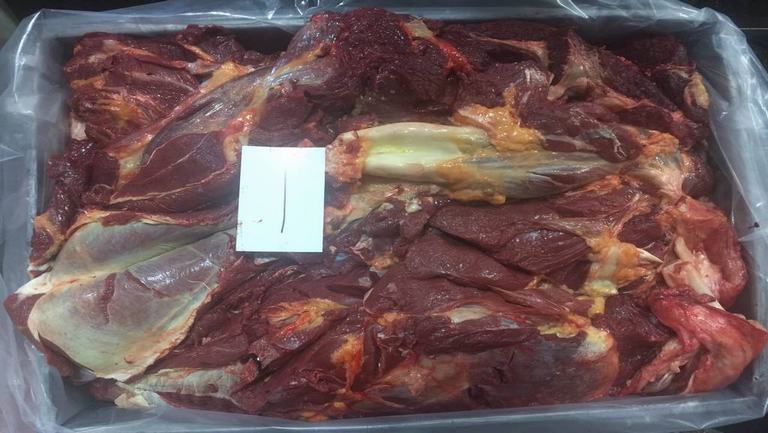 肺纤维化能不能吃马肉