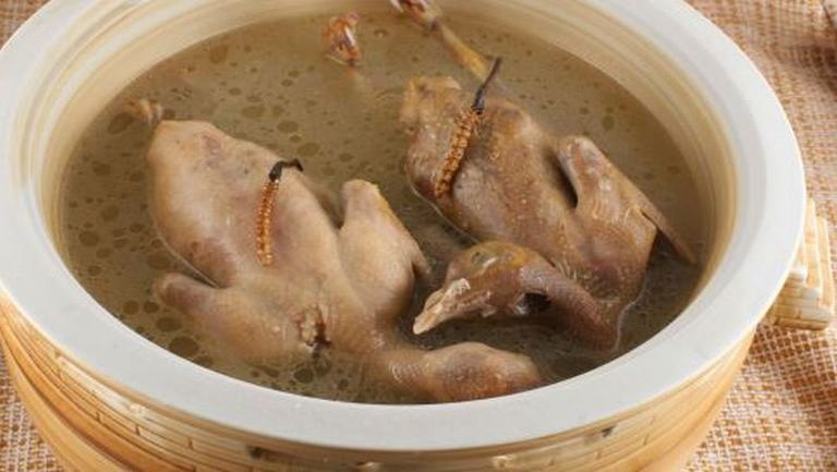 胆结石能不能吃鸽子肉