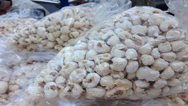 胆结石能不能吃爆米花