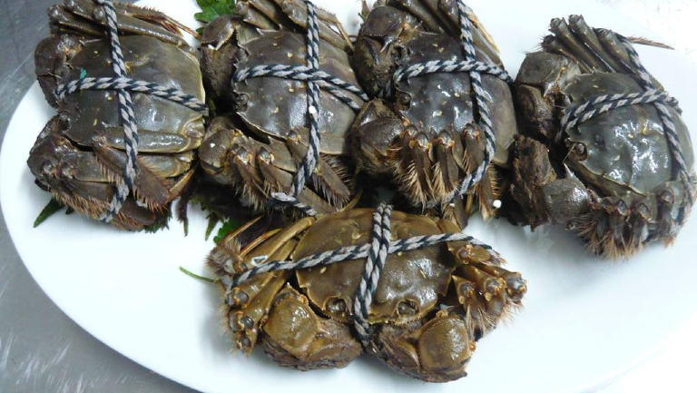 胆囊息肉能不能吃螃蟹