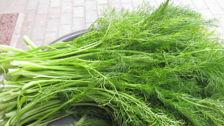 肠胃炎能不能吃茴香
