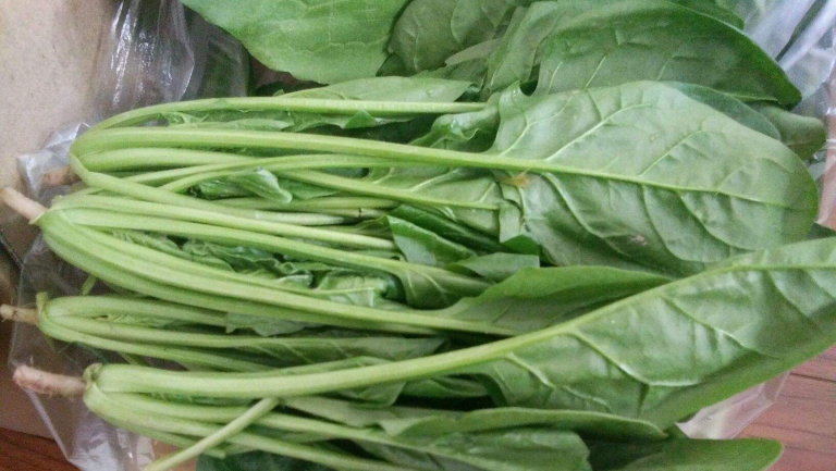 肠易激综合征能不能吃菠菜