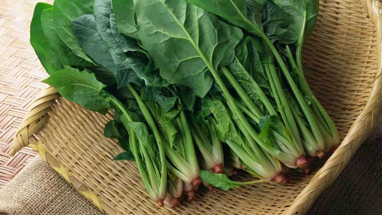 臂丛神经损伤能不能吃菠菜
