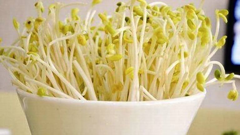 鼻囊肿能不能吃豆芽