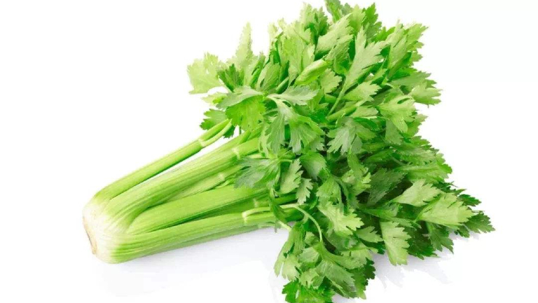 鼻囊肿能不能吃芹菜