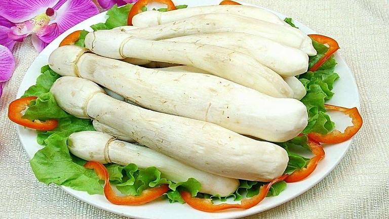 鸡腿菇的功效与作用、禁忌和食用方法