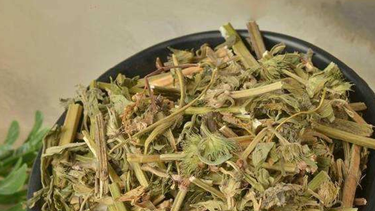 益母草汤的功效与作用、禁忌和食用方法