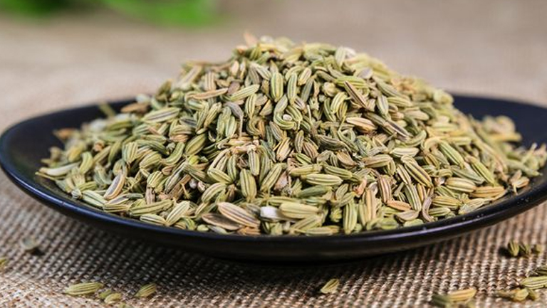 盐小茴香的功效与作用、禁忌和食用方法