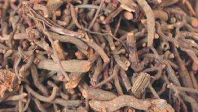 红茜草的功效与作用、禁忌和食用方法