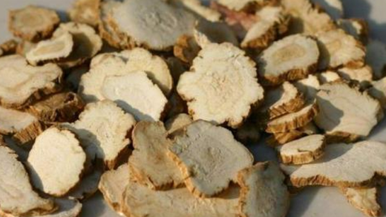 生川芎的功效与作用、禁忌和食用方法