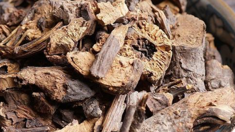 地榆根的功效与作用、禁忌和食用方法