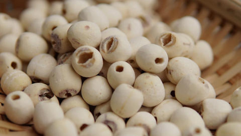去芯莲子的功效与作用、禁忌和食用方法