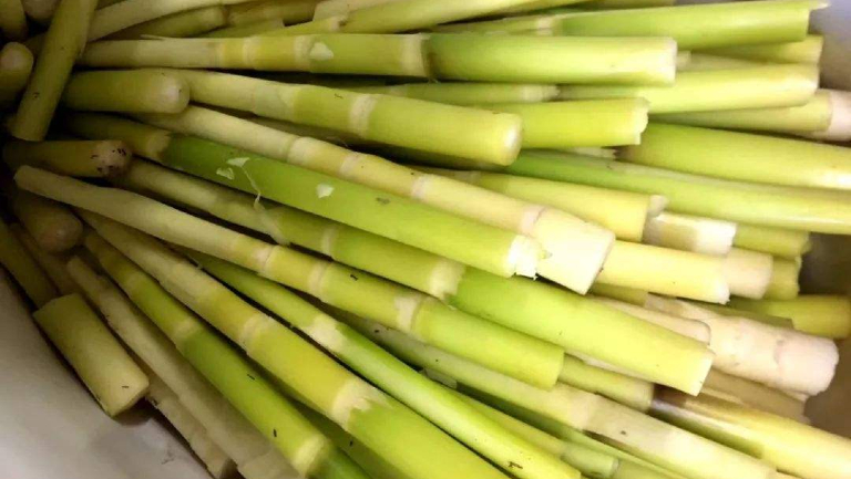 笋的功效与作用、禁忌和食用方法