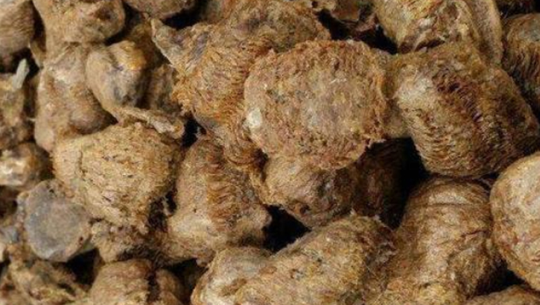 桑螵蛸散的功效与作用、禁忌和食用方法