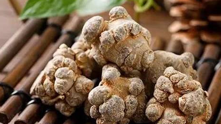 生三七的功效与作用、禁忌和食用方法