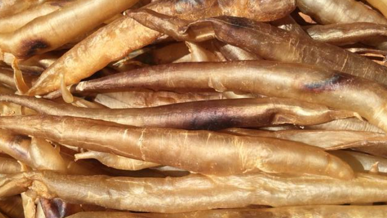 鳗鱼胶的功效与作用、禁忌和食用方法
