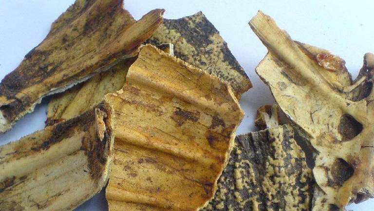 醋鳖甲的功效与作用、禁忌和食用方法