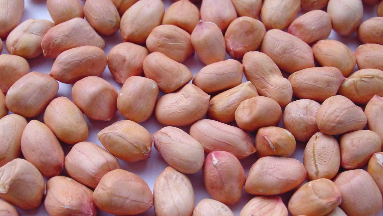 生花生米的功效与作用、禁忌和食用方法