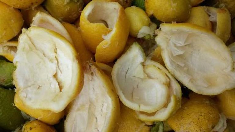 柠檬皮的功效与作用、禁忌和食用方法