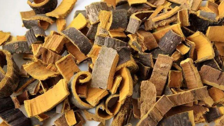 炒黄柏的功效与作用、禁忌和食用方法