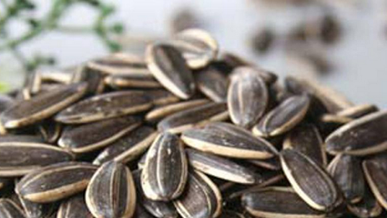 香瓜子的功效与作用、禁忌和食用方法